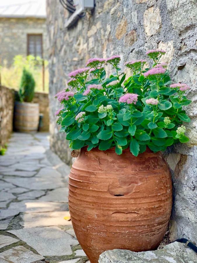 Πέτρινο Παραδοσιακό Σπίτι "Χιονάτη" Villa Nimfaíon Buitenkant foto